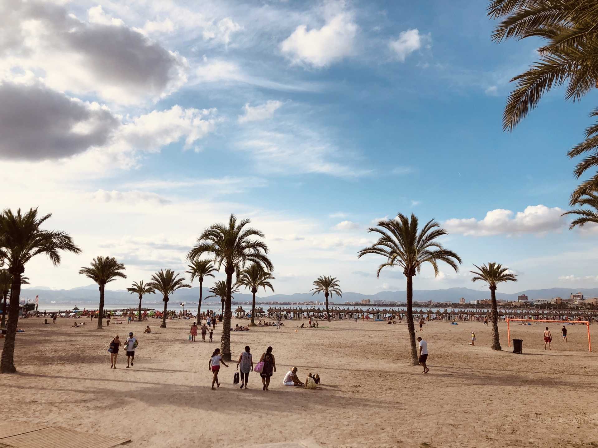 Plaża i palmy oraz spacerujący ludzie.