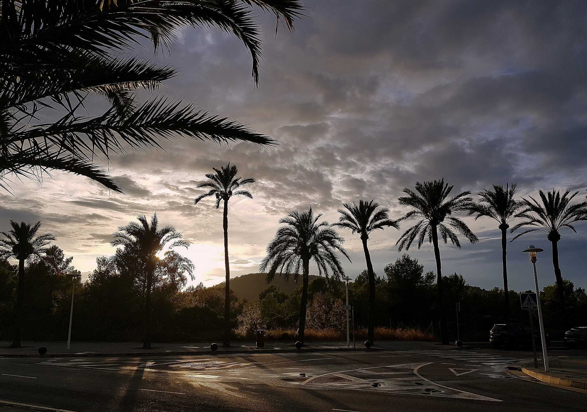 widok ulicy palm i góry na tle zachodzącego słońca przedzierającego sie przez liście palmy.